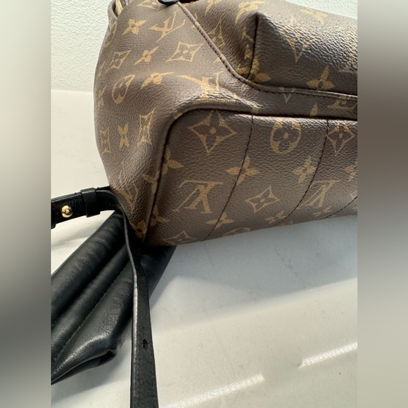 Louis Vuitton Palm Springs MM bag backpack - Picture 10 of 16